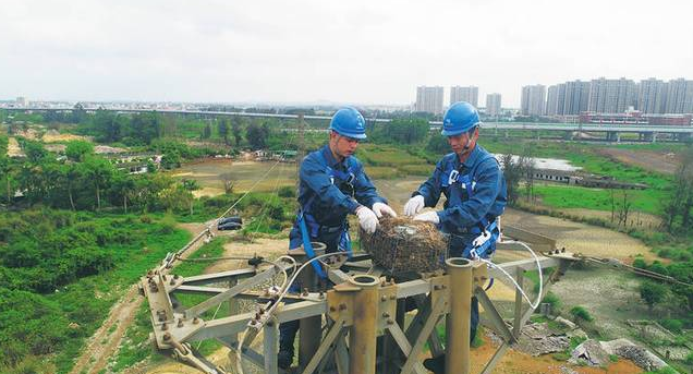 保护生态和谐共生，IKAR防坠器出一份力！